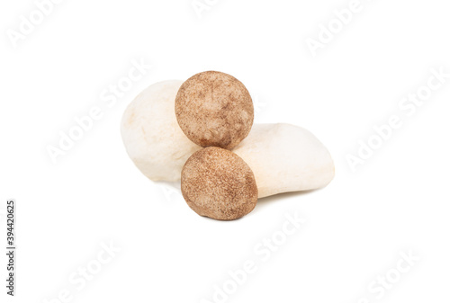 Two eringi mushrooms