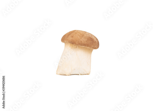 Little mushroom eringi