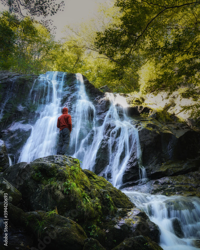 waterfall in the forest