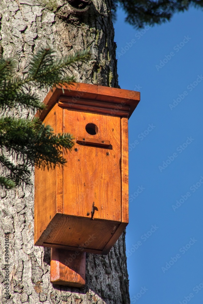 Handmade wooden birdhouse on the tree in park. Shelter for birds