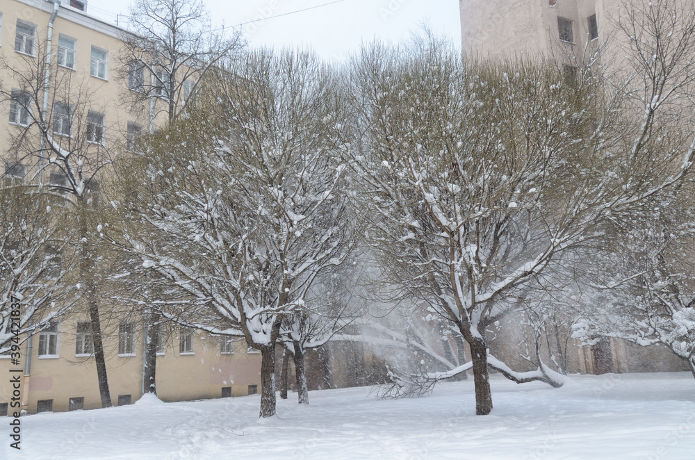 Snow fell in the city in winter.