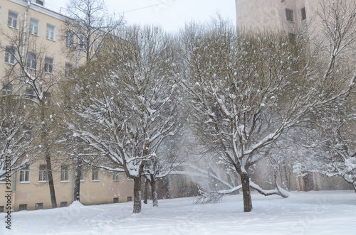 Obraz na płótnie Snow fell in the city in winter. w salonie
