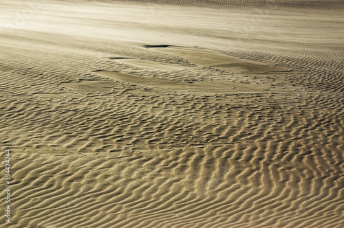 Tekstura szablon krajobraz pustynia i ruchome wydmy 