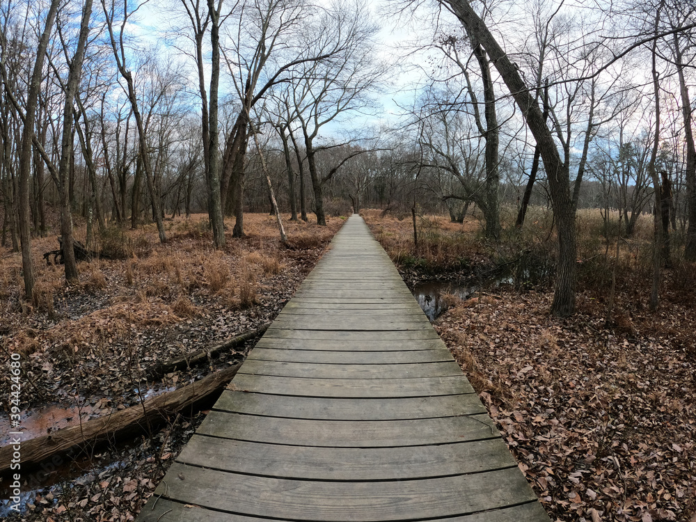 Obraz premium Wide angle view of a wood covered path in a forest