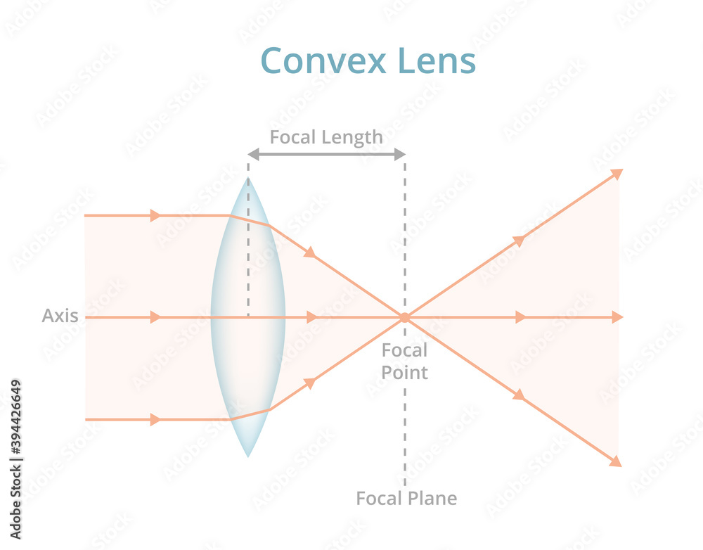 Vettoriale Stock Vector scientific illustration of a convex lens or