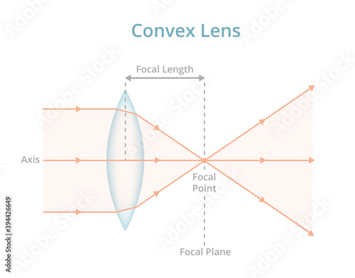 Vector scientific illustration of a convex lens or converging lens isolated on white. Physics, optics, photography. Labeled convex lens converges the light rays passing through the lens to a point. photo