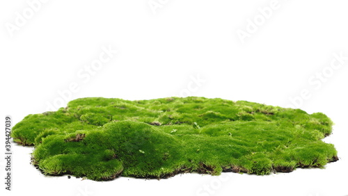 Green moss isolated on white background and texture 