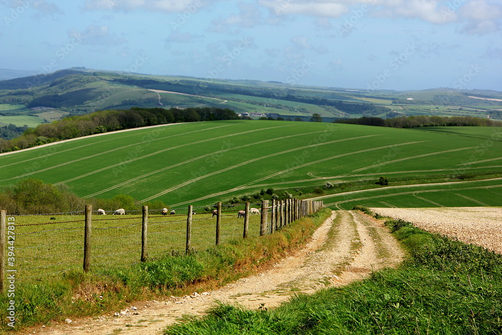 South downs national park