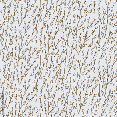Pussy willow seamless pattern. Graphic doodle hand drawn sketch style. Botanical illustration for packaging, menu cards, posters, prints. 