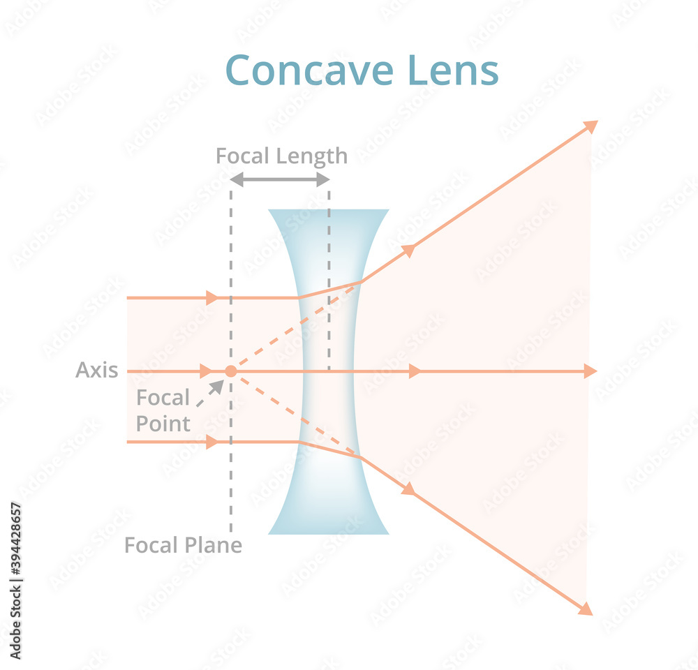 Vector scientific illustration of a concave lens or diverging lens ...