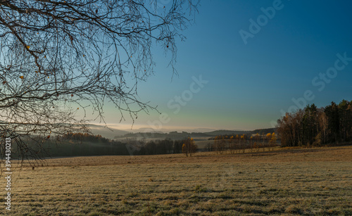 Trees and path with sunrise near Rozmberk nad Vltavou village