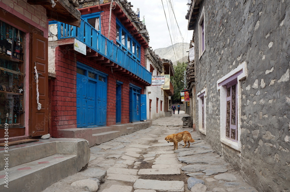 A narrow street in a stone-paved road in the village of Kagbeni, of the Kingdom Mustang, Nepal. In Kagbeni there is a checkpoint to the closed zone of Nepal - Upper Mustang.