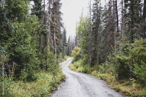 Quiet road through Brooks in Katmai, Alaska