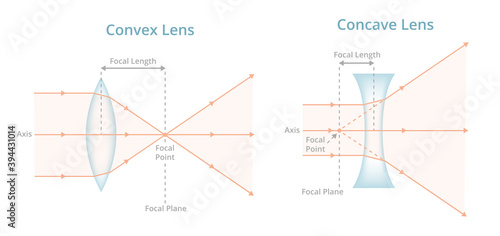 Vector scientific illustration. Convex or converging lens, concave or diverging lens, light rays passing through lens. Physics, optics, photography. Positive, negative labeled lens isolated on white.