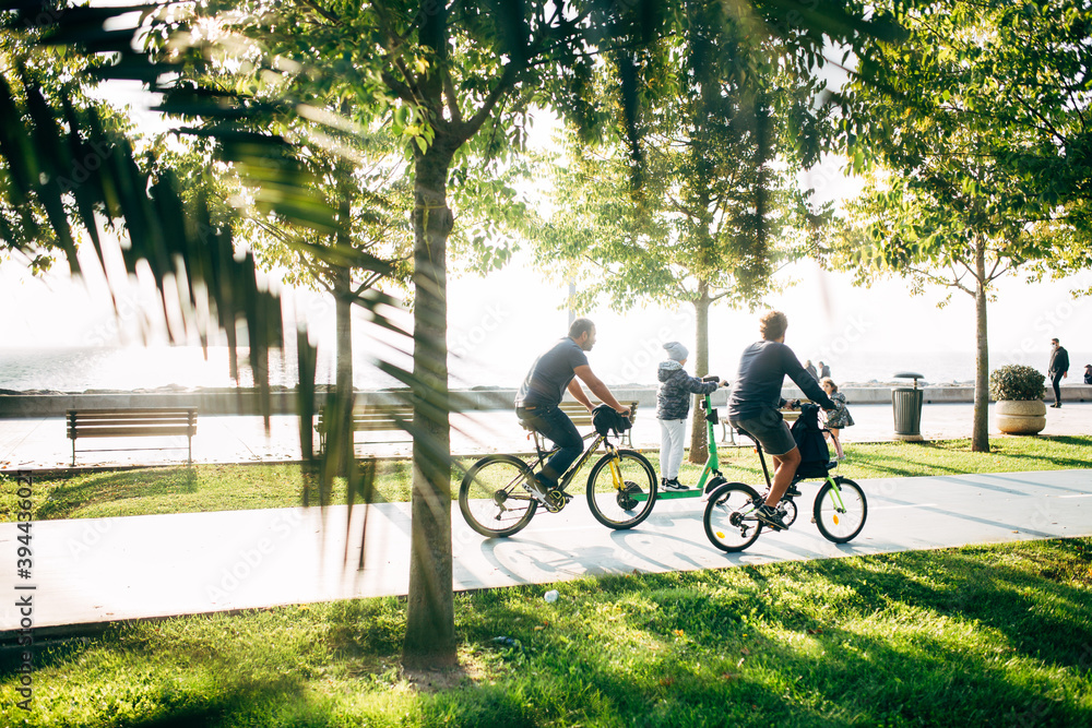 Fototapeta premium cycling in the park