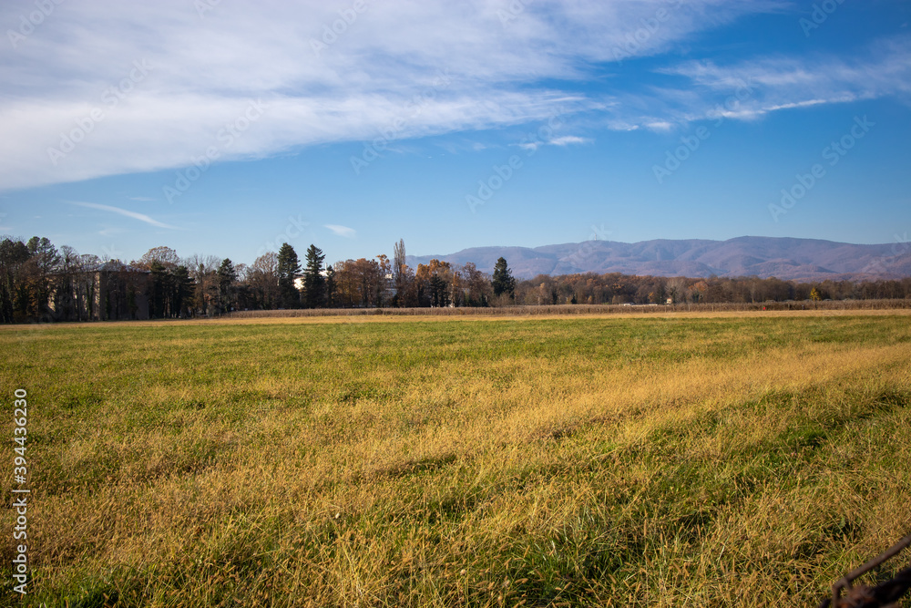 Empty field in yellow and green colors