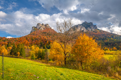 Fototapeta Naklejka Na Ścianę i Meble -  Autumn rural landscape with mountains peaks on background. The Vratna valley in Mala Fatra national park, Slovakia, Europe.
