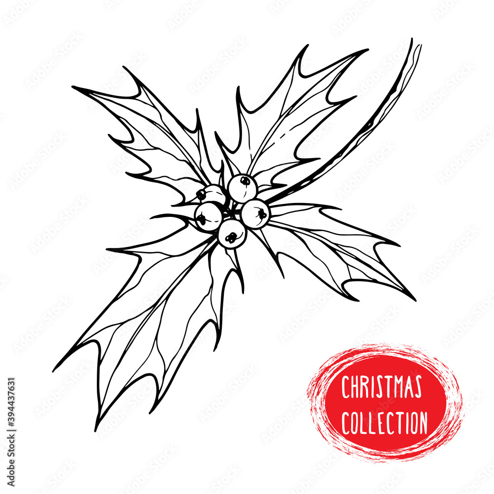 Sketch of a Christmas plant holly. Black and white transparent illustration made by hand on a white background. Suitable for New Year and holiday decor. Sketch of a Christmas plant holly. Black and white transparent illustration made by hand on a white background. Suitable for New Year and holiday decor.