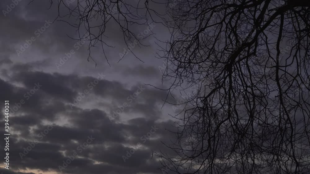 Hanging bare branches of the tree on a dark evening sky with clouds. The heaven landscape before nightfall in a twilight hour waiting for spring. The dusk decorative abstraction in floating motion. Hanging bare branches of the tree on a dark evening sky with clouds. The heaven landscape before nightfall in a twilight hour waiting for spring. The dusk decorative abstraction in floating motion.