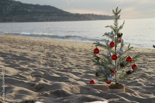 Christmas on the Beach