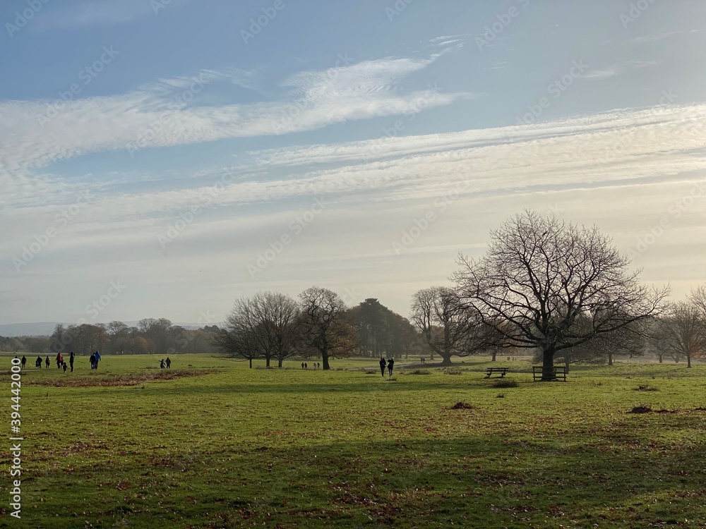 Tatton Park in Cheshire in the Autumn Sunshine Tatton Park in Cheshire in the Autumn Sunshine