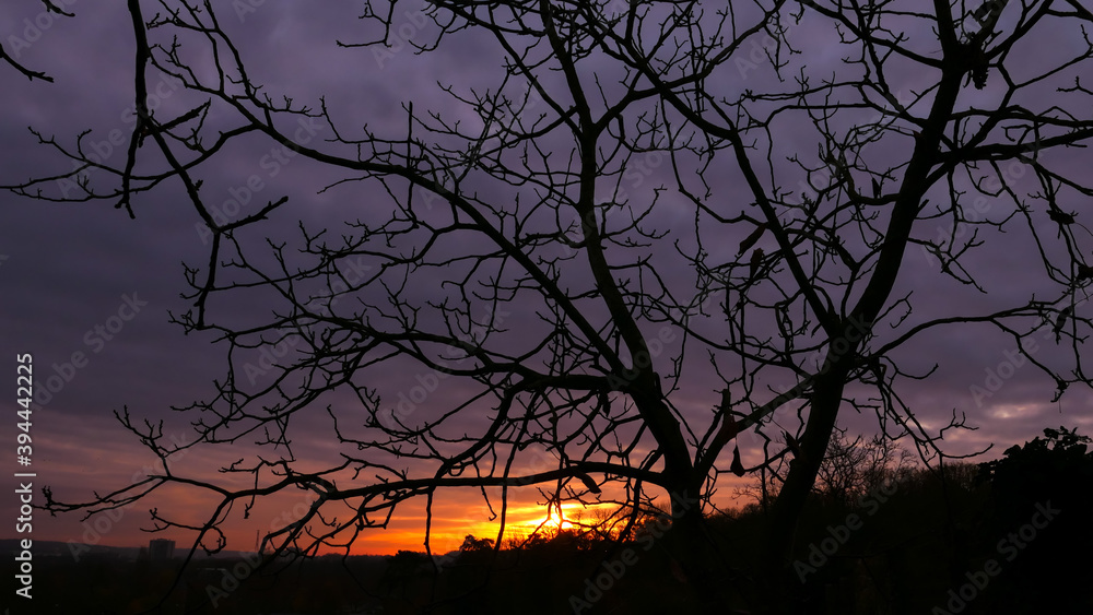 Silhouette of branch of tree at sunrise. Autumn or winter scene with dramatic sky with clouds. Silhouette of branch of tree at sunrise. Autumn or winter scene with dramatic sky with clouds.