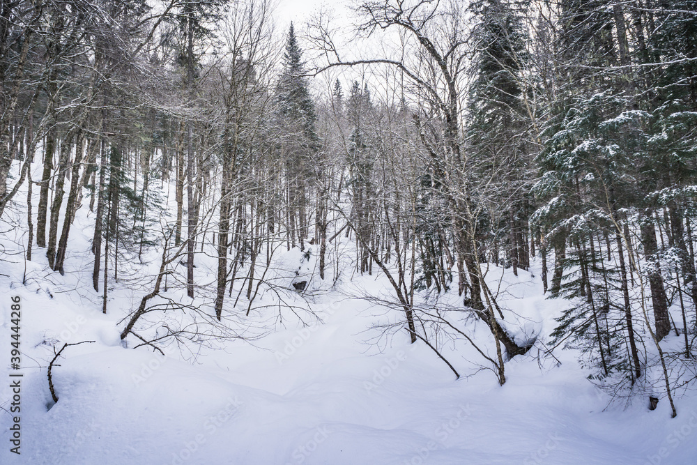 Snowy landscape in Jacque Cartier National Park, Quebec Snowy landscape in Jacque Cartier National Park, Quebec