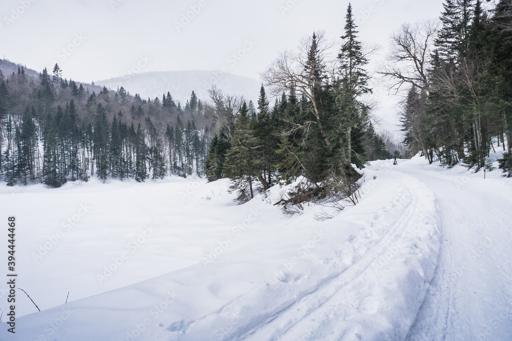 Snowy landscape in Jacque Cartier National Park, Quebec