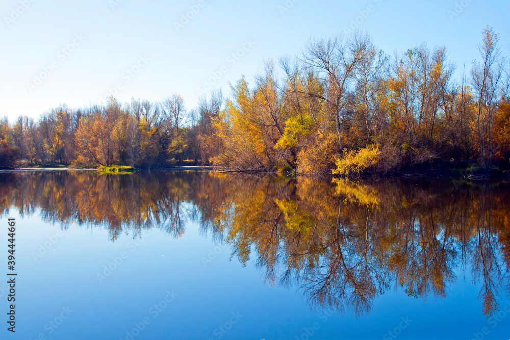 autumn forest reflected in the calm waters of a lake makes a mirror effect