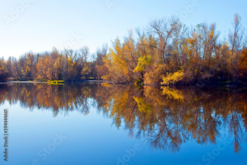 autumn forest reflected in the calm waters of a lake makes a mirror effect