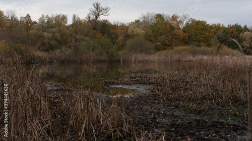 Autumn landscape with a lake