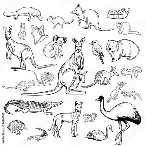 Animals and birds of Australia.