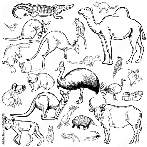 Animals and birds of Australia.
