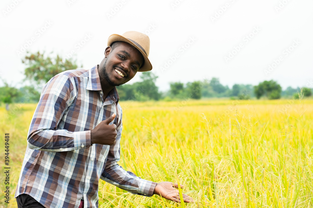 African farmer standing in  organic rice field with smile and happy.Agriculture or cultivation concept