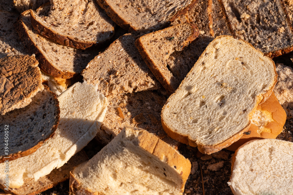 Rotting bread leftovers for organic soil or animal food. Rotting bread leftovers for organic soil or animal food.