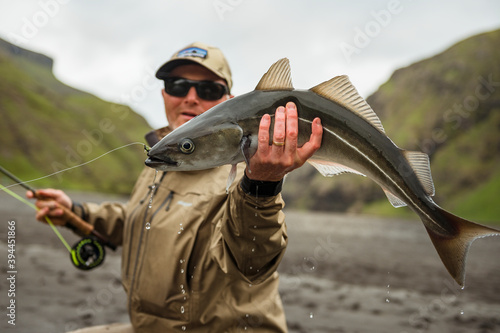 Man holding caught fish, Faeroe Islands photo