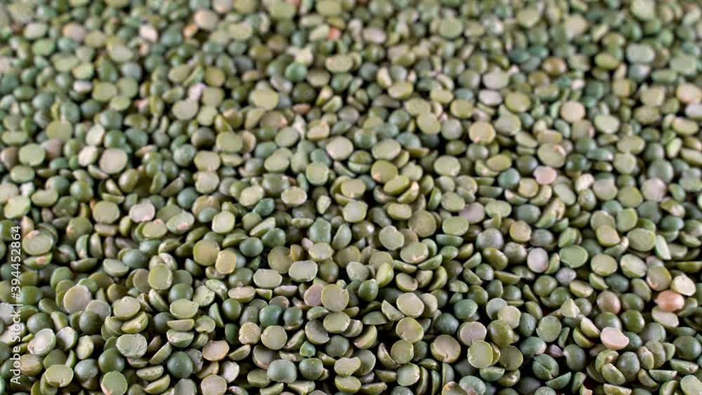 Close-up panorama of the green pea layer. High-protein legumes, beans and lentils for a healthy diet