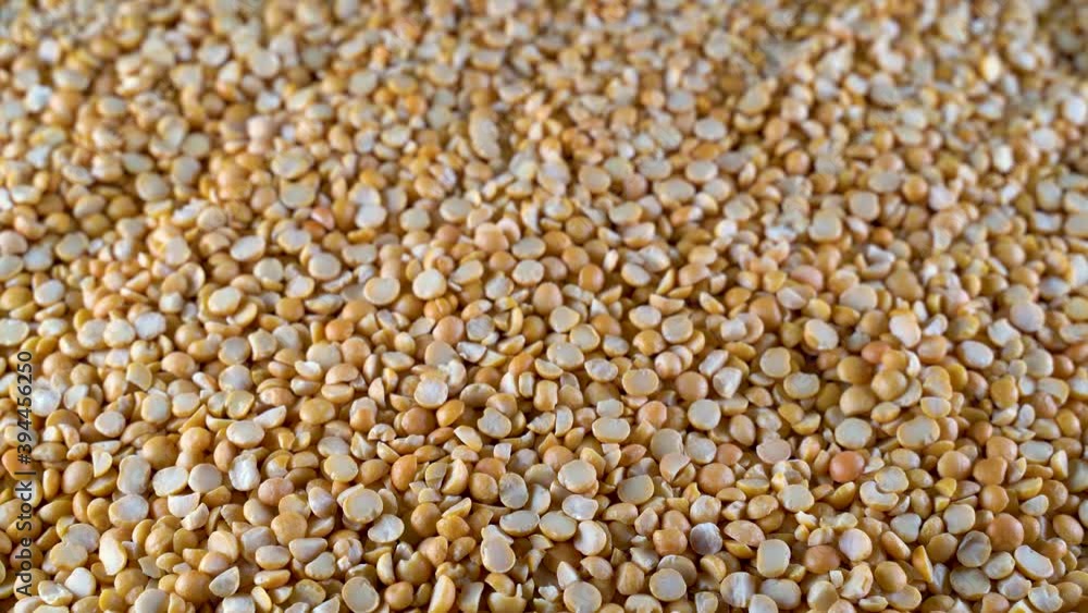 Close-up panorama of the yellow pea layer. High-protein legumes, beans and lentils for a healthy diet Close-up panorama of the yellow pea layer. High-protein legumes, beans and lentils for a healthy diet