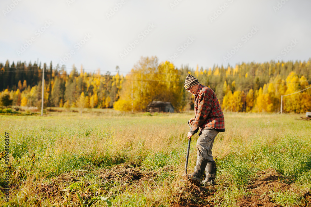 Man on field, Sweden Man on field, Sweden