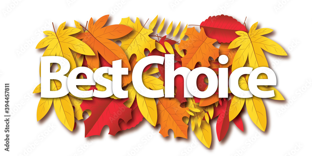 best choice best choice