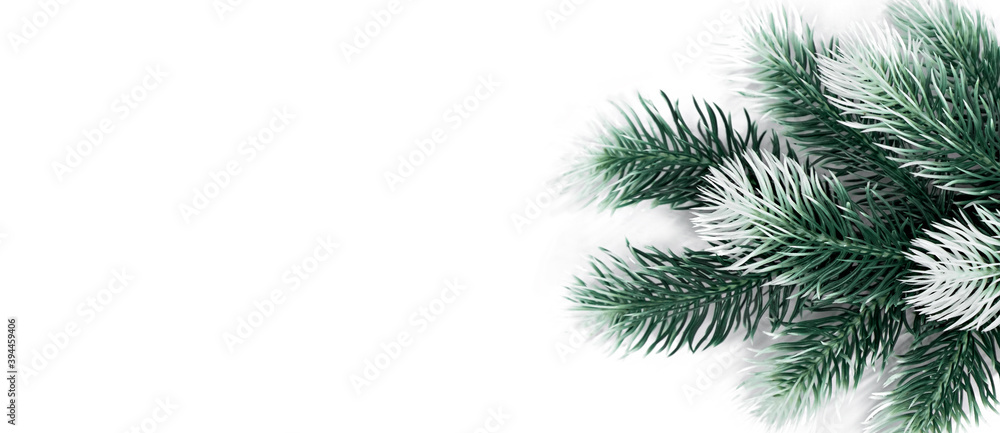 christmas decotation fir tree branches with snow on white background banner