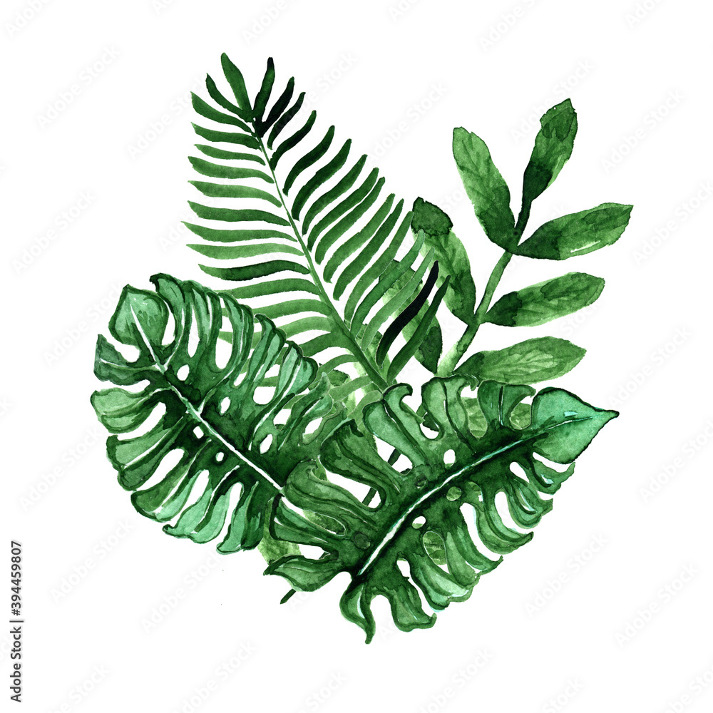 Watercolor tropical leaves,watercolor, tropical leaves ,clip art ...