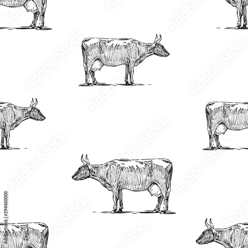 Seamless background of sketches grazing cows