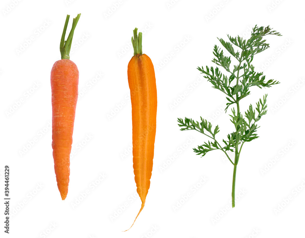 carrots isolated on white carrots isolated on white