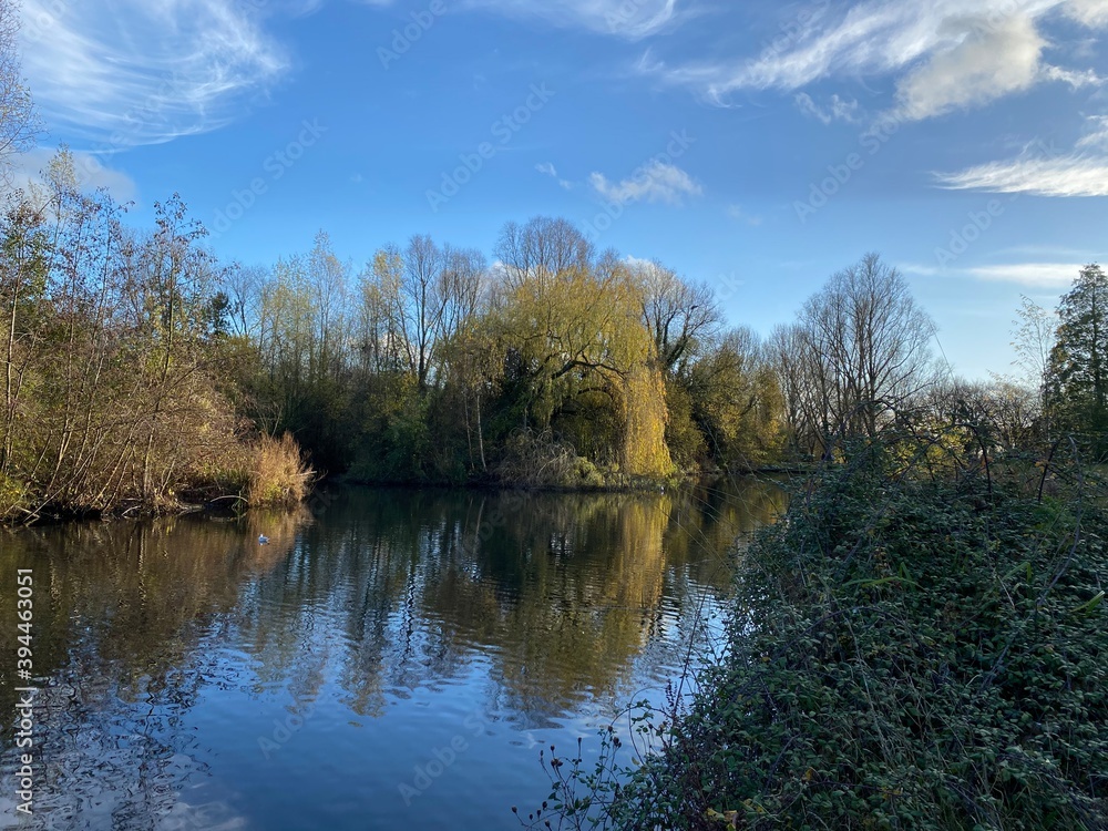 Park canal in a beautiful sunny autumn day with trees and cloud reflecting on the calm, still water, scenic nature landscape, beautiful nature, blue sky and water.