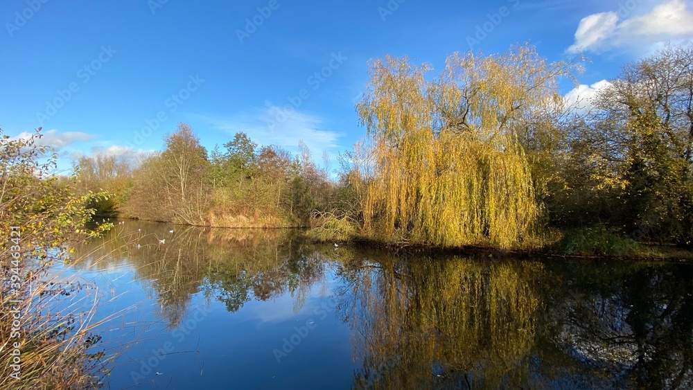 Park canal in a beautiful sunny autumn day with trees and cloud reflecting on the calm, still water, scenic nature landscape, beautiful nature, blue sky and water. Park canal in a beautiful sunny autumn day with trees and cloud reflecting on the calm, still water, scenic nature landscape, beautiful nature, blue sky and water.