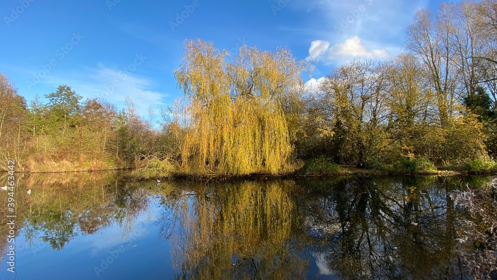 Park canal in a beautiful sunny autumn day with trees and cloud reflecting on the calm, still water, scenic nature landscape, beautiful nature, blue sky and water. Park canal in a beautiful sunny autumn day with trees and cloud reflecting on the calm, still water, scenic nature landscape, beautiful nature, blue sky and water.