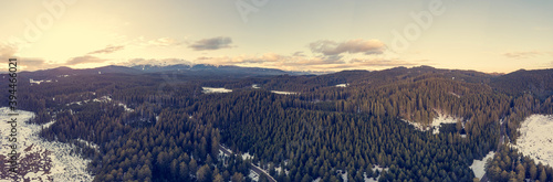 Spectacular winter forest panorama with sun setting behind mountains.