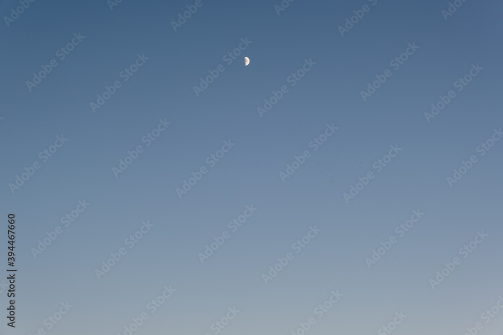Sunset on the beach with half moon and sand
Sunset on the beach with half moon and sand