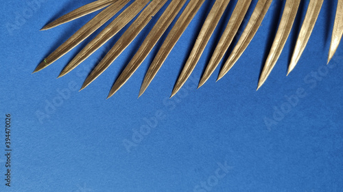 Top view   Golden palm leaves on classic dark blue background.  Copy Space